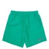 BAGGY HIKING SHORT -Bodega fuckingawesomeBAGGYHIKINGSHORTGREENSFA SU22 012 1