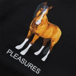 Pleasures DEATH HOODIE -Bodega pleasuresDEATHHOODIEBLACKSP22F049 3